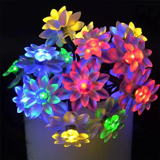 Flower in a vase illuminated by colorful lights.