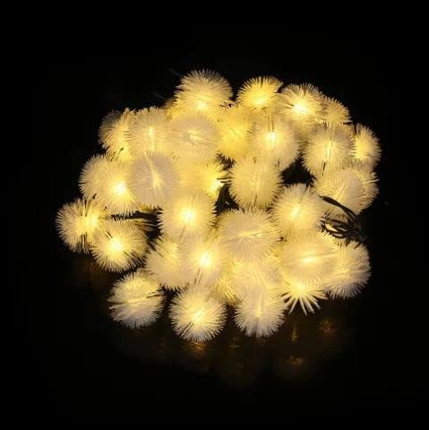 Fluffy white pom poms against a dark black backdrop.
