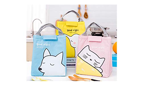 cute lunch bags for women in india