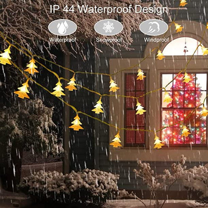  Trees adorned with twinkling Christmas lights.