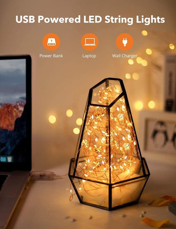 Warm White Copper Fairy String Light