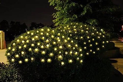 Bush with decorative lights in the evening.