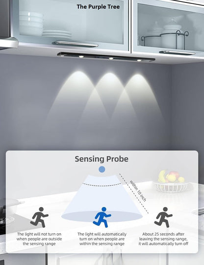 An LED downlight exhibiting three separate colors, offering a chic and functional lighting choice for various settings.