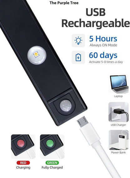 A contemporary LED downlight displaying three different colors, enhancing the ambiance with its versatile lighting options.
